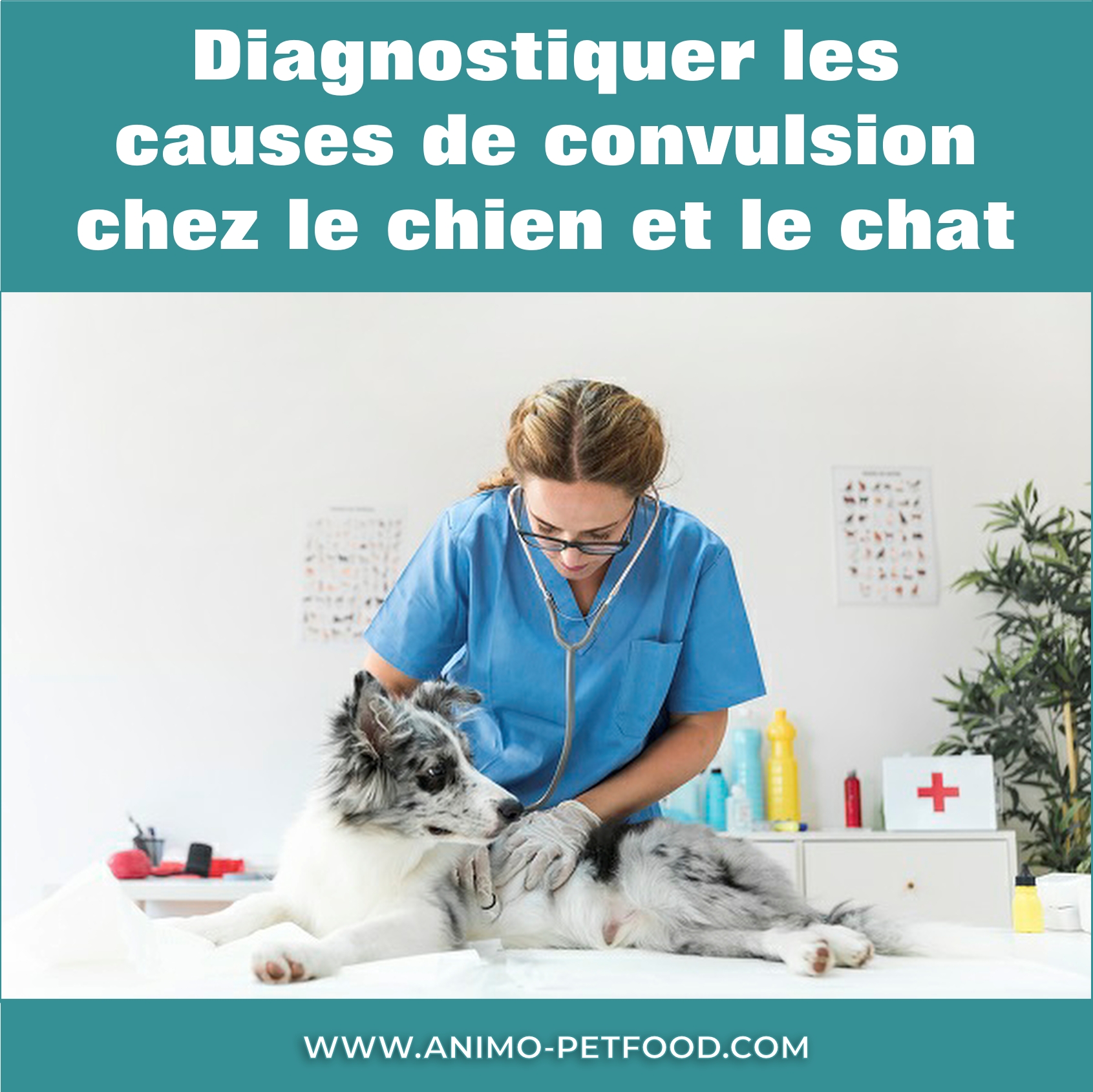 Les convulsions chez le chien et le chat